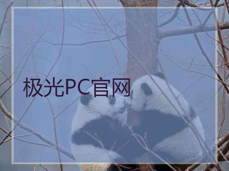 极光PC官网