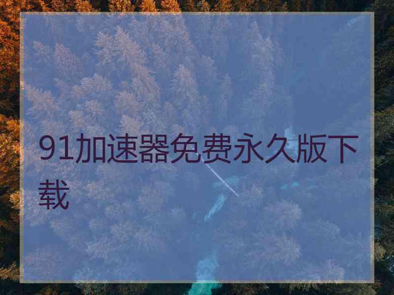 91加速器免费永久版下载