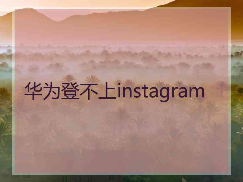 华为登不上instagram