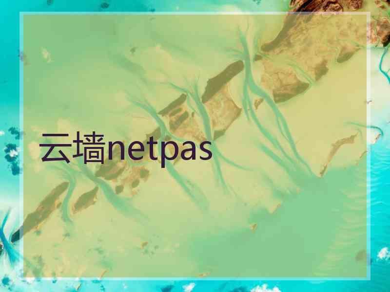 云墙netpas