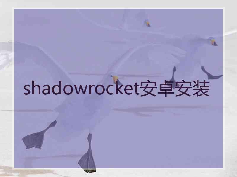 shadowrocket安卓安装