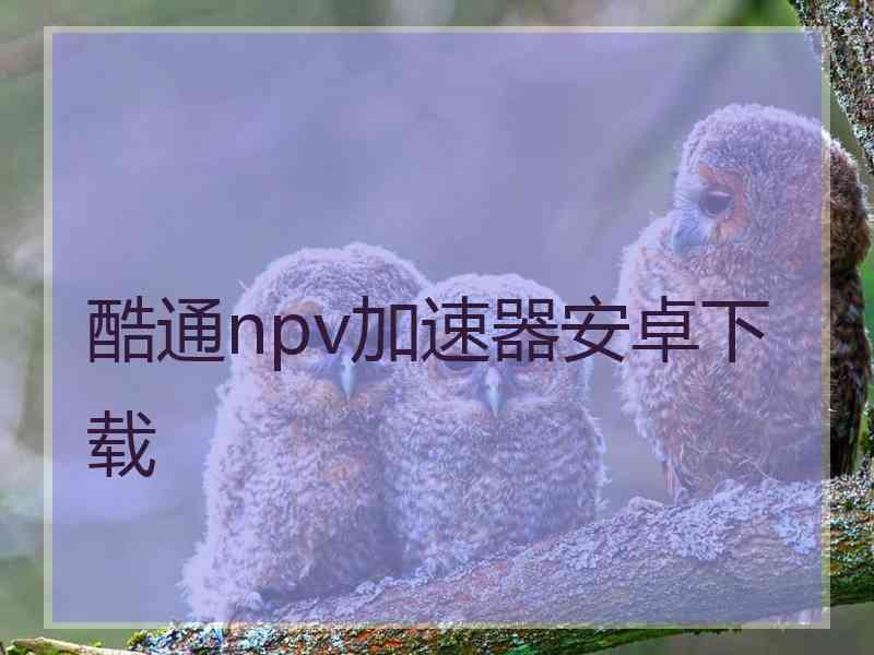 酷通npv加速器安卓下载