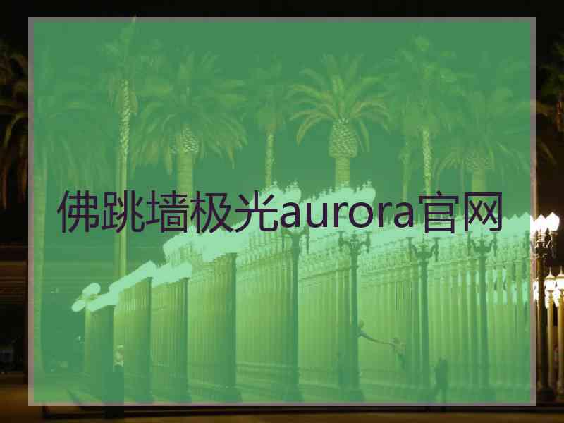 佛跳墙极光aurora官网