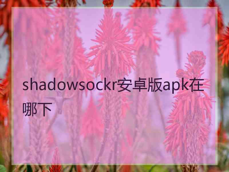 shadowsockr安卓版apk在哪下