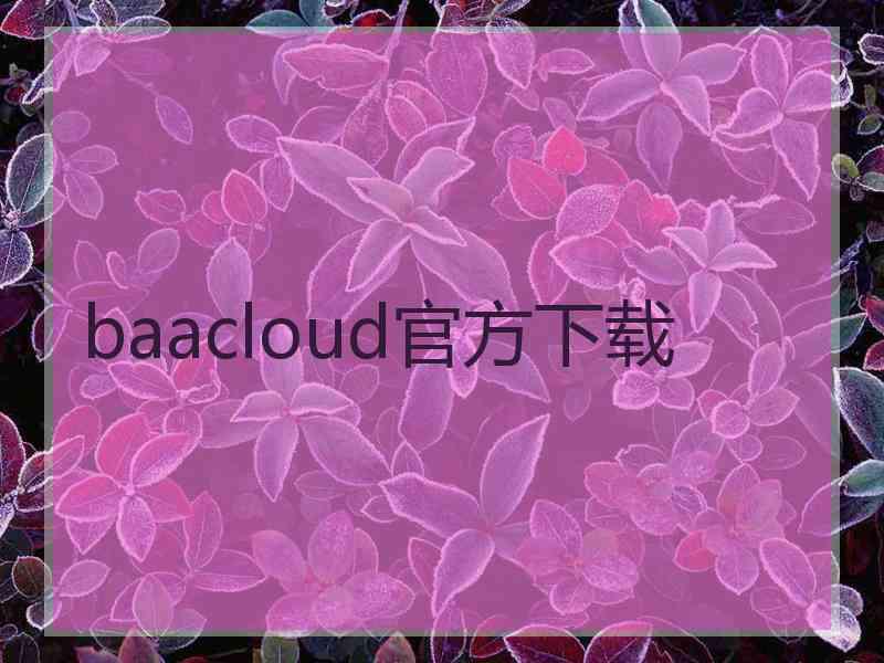 baacloud官方下载