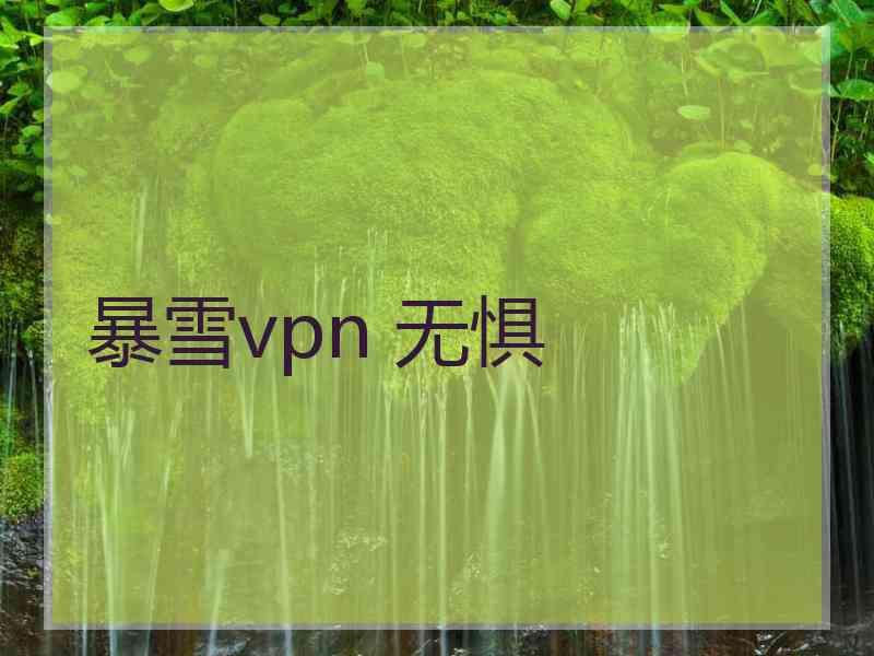 暴雪vpn 无惧