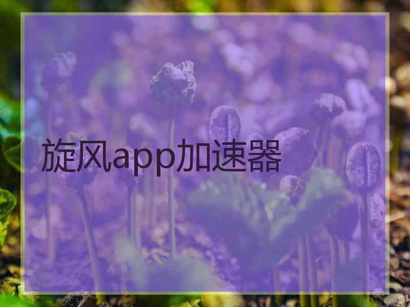 旋风app加速器