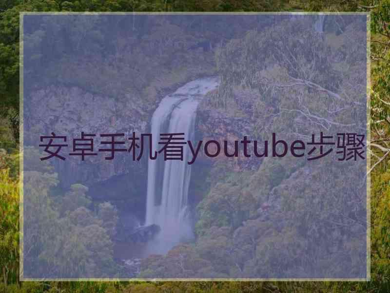 安卓手机看youtube步骤