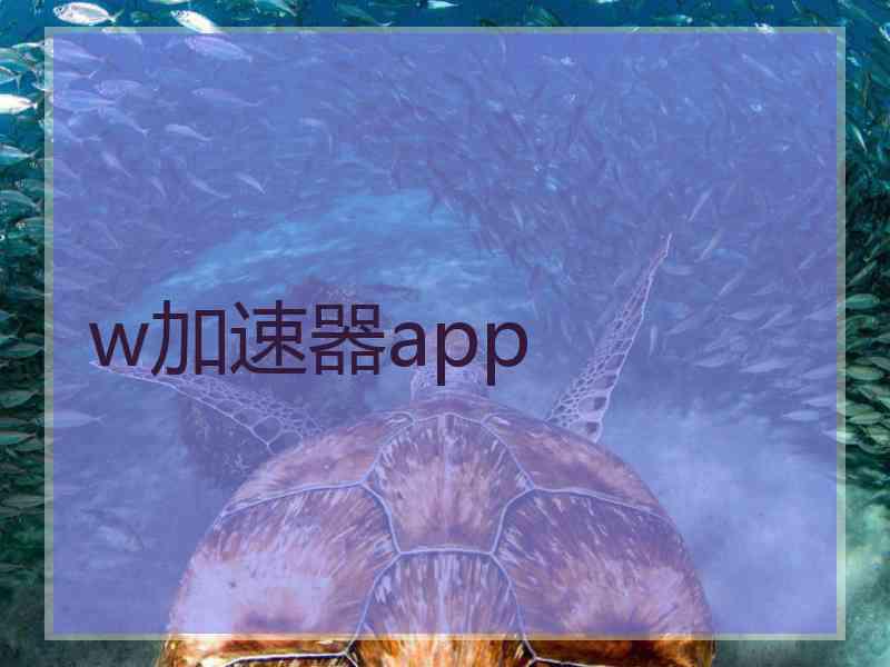 w加速器app