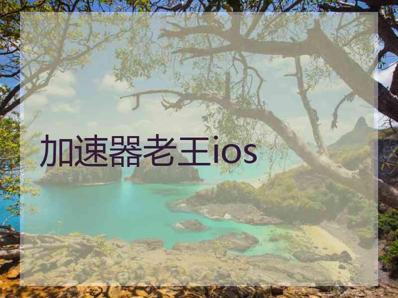 加速器老王ios