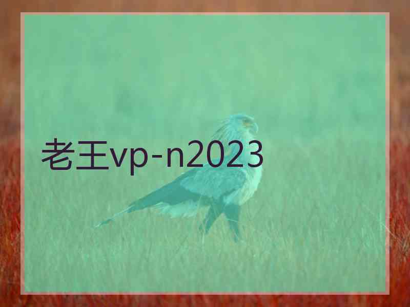 老王vp-n2023