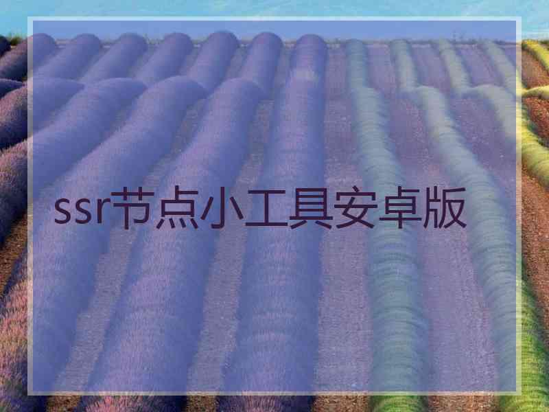 ssr节点小工具安卓版