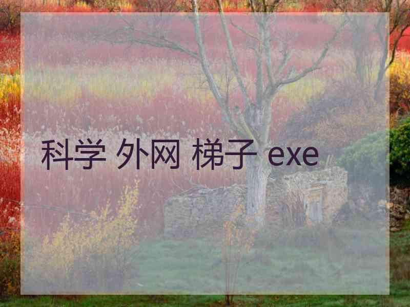 科学 外网 梯子 exe