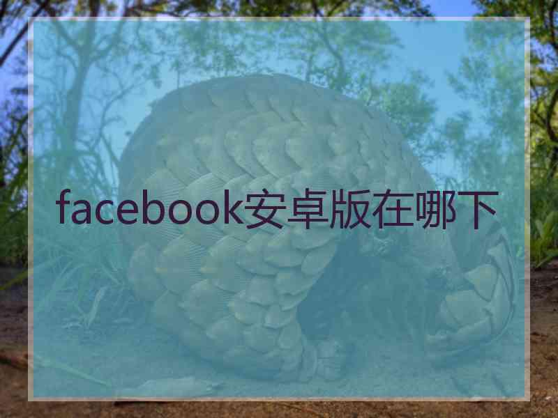 facebook安卓版在哪下