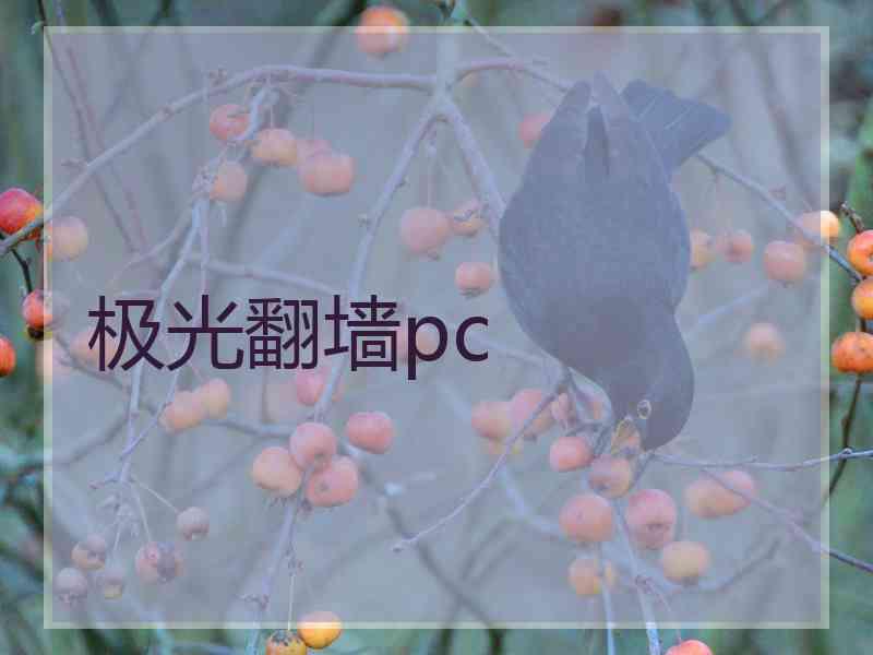 极光翻墙pc