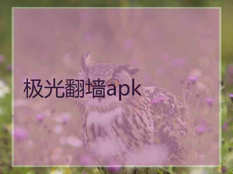 极光翻墙apk