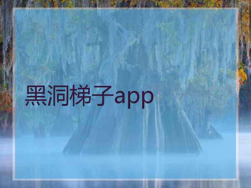 黑洞梯子app