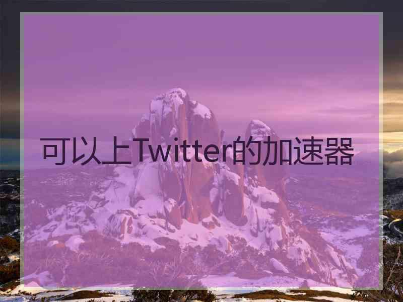 可以上Twitter的加速器