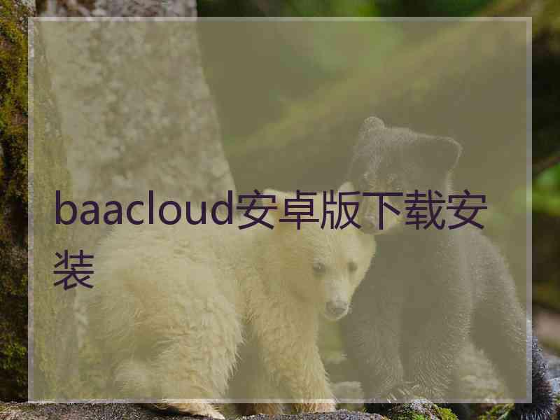 baacloud安卓版下载安装