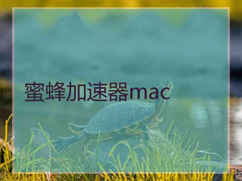 蜜蜂加速器mac