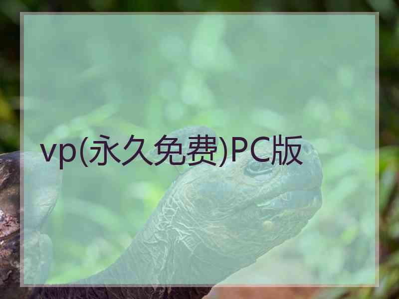 vp(永久免费)PC版