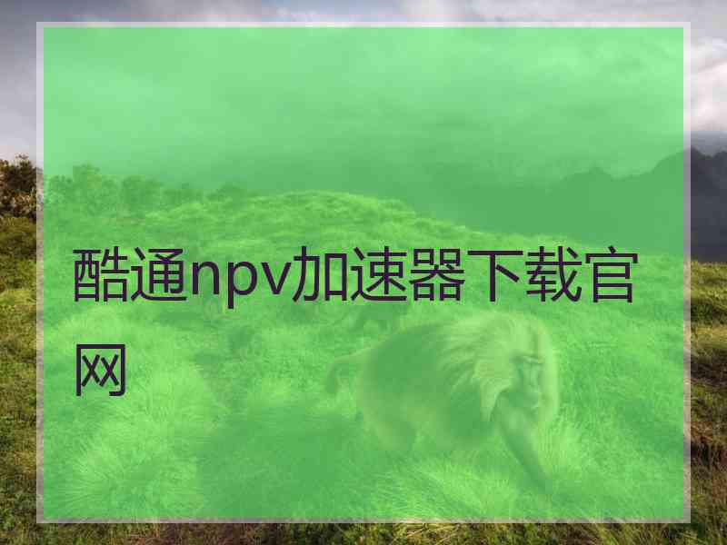 酷通npv加速器下载官网