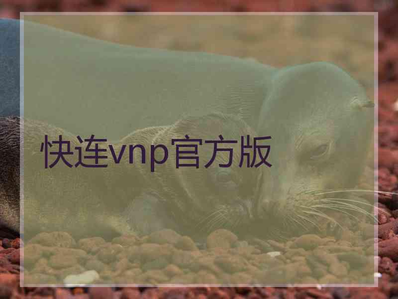 快连vnp官方版