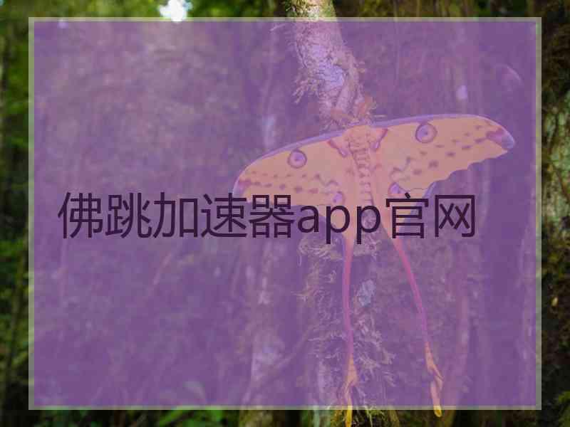 佛跳加速器app官网