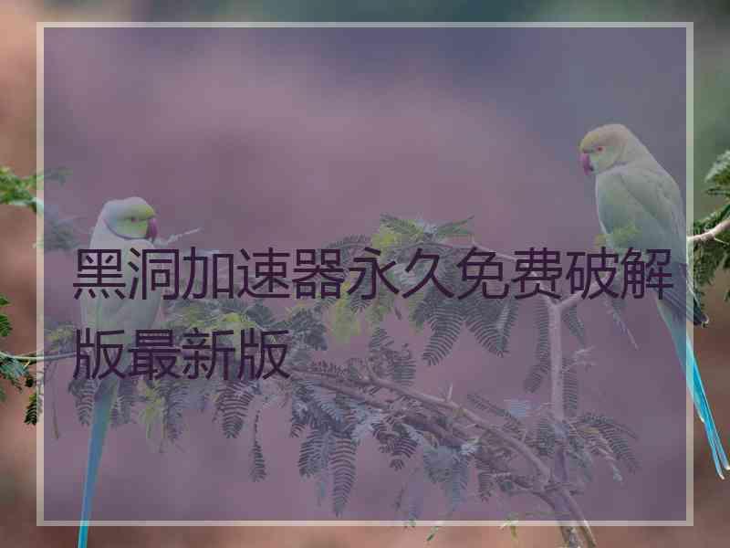 黑洞加速器永久免费破解版最新版