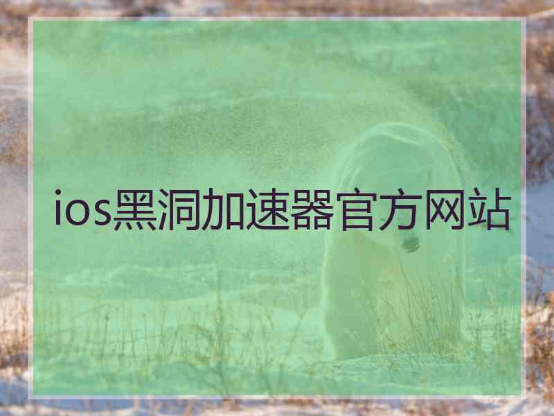 ios黑洞加速器官方网站