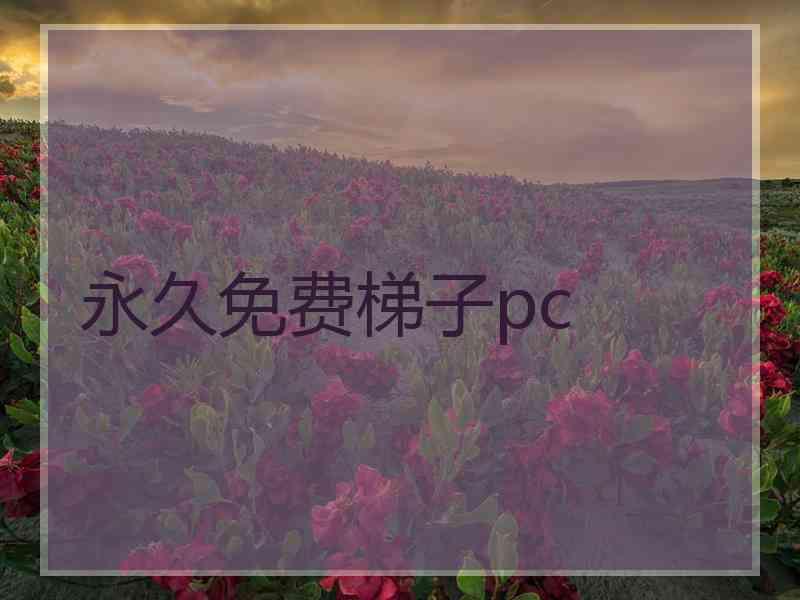 永久免费梯子pc