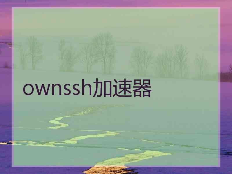 ownssh加速器