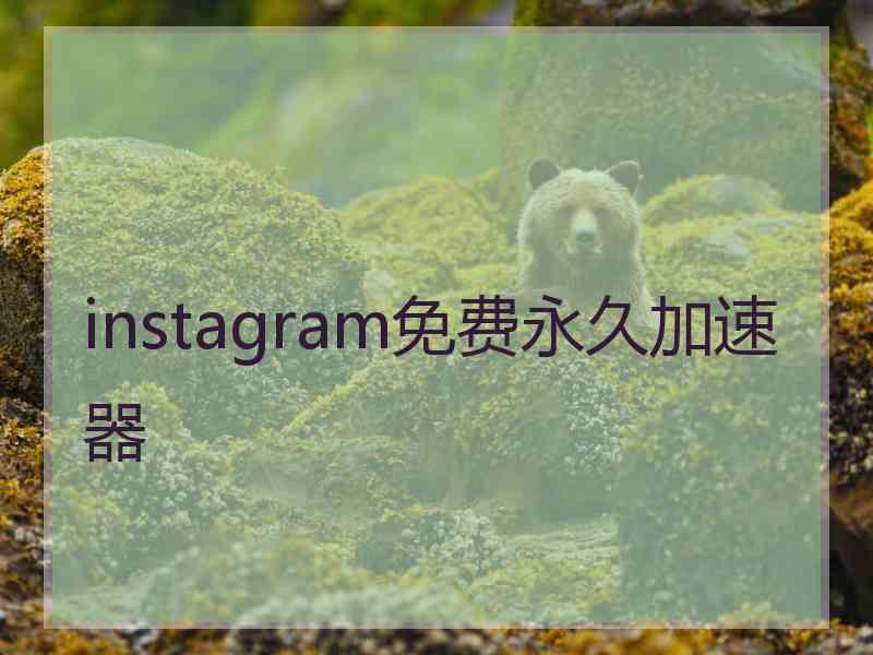 instagram免费永久加速器