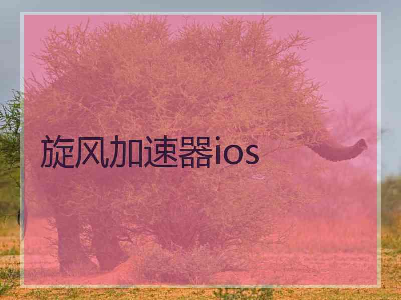 旋风加速器ios