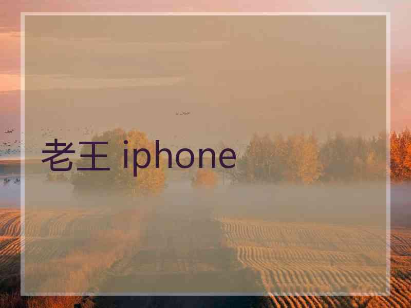 老王 iphone